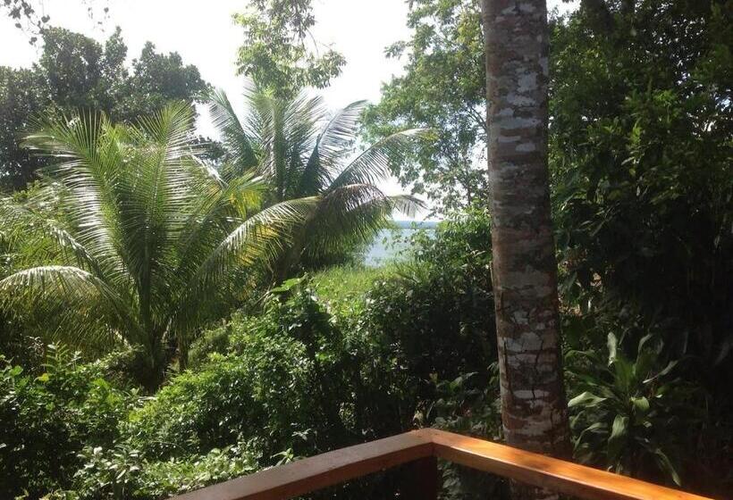 استودیو استاندارد با چشمانداز دریا, Pousada Aquarela