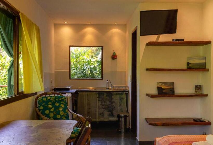 استودیو خانوادگی, Pousada Aquarela