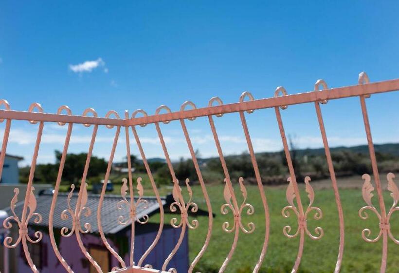 اتاق لوکس, Kenting Avignon