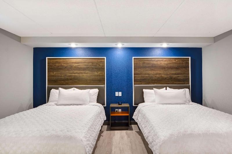 수피리어 룸, Arena Ipanema