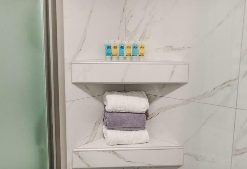 스탠다드 스튜디오, Zante Atlantis