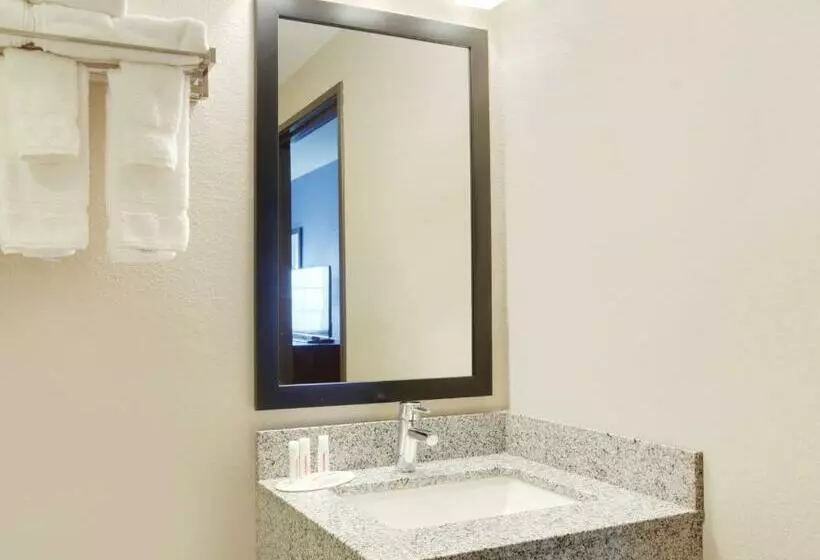 キングサイズベッドのスタンダードルーム, Quality Inn & Suites