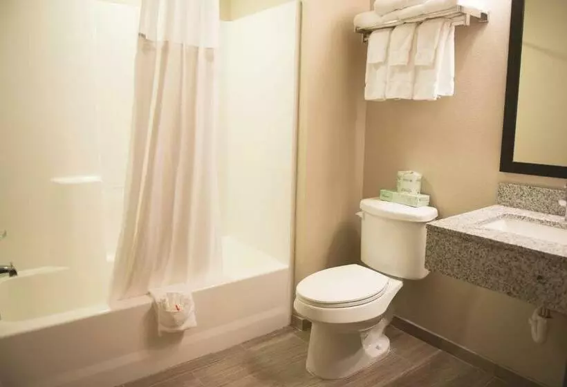 スタンダードルーム, Quality Inn & Suites