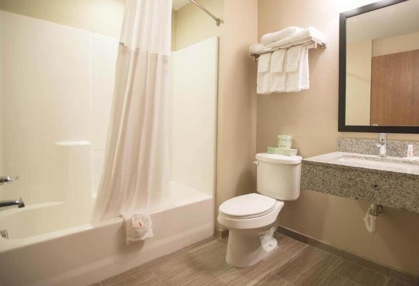 带大床的套房, Quality Inn & Suites