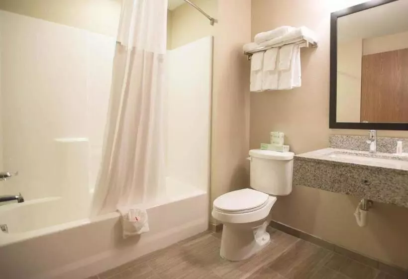 キングサイズベッドのスイートルーム, Quality Inn & Suites