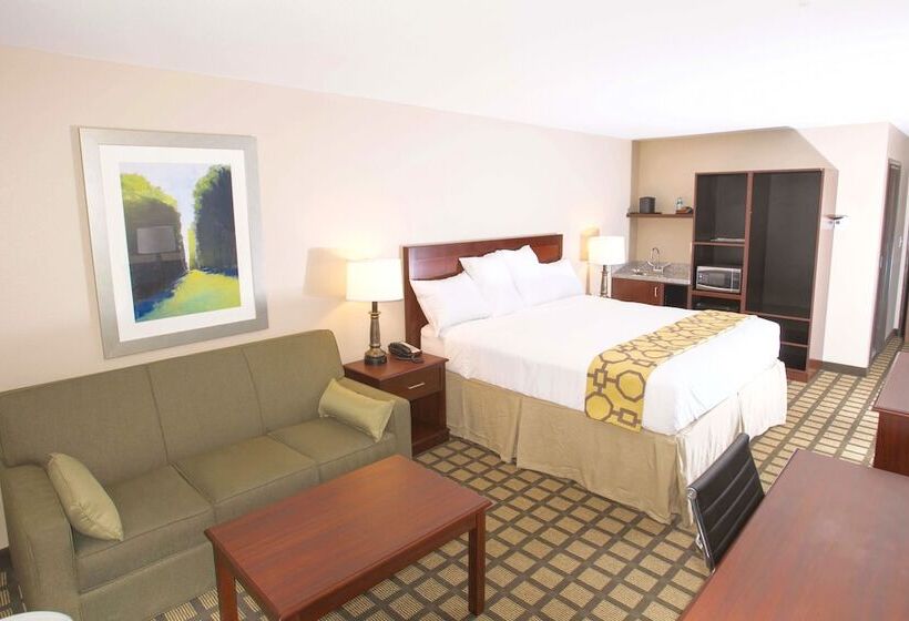 带大床的套房, Quality Inn & Suites