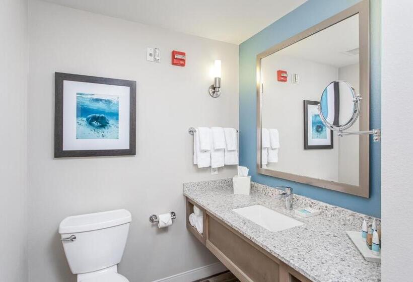 Стандартный Номер Кровать Кинг, Best Western Premier   The Tides