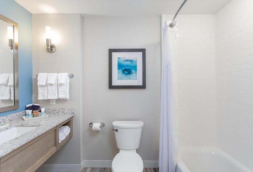 バルコニー付きスタンダードルーム, Best Western Premier   The Tides