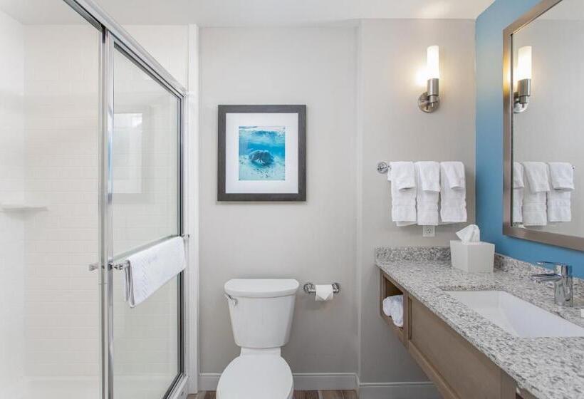 キングサイズベッドのスタンダードルーム, Best Western Premier   The Tides