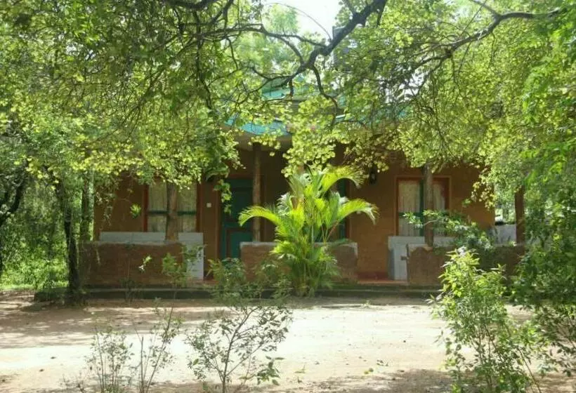 ファミリールーム, Clay Hut Village