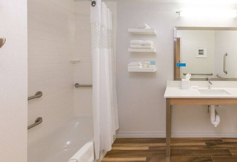 غرفة قياسية سرير مزدوج لذوى الإحتياجات الخاصة, Hampton Inn Palatka