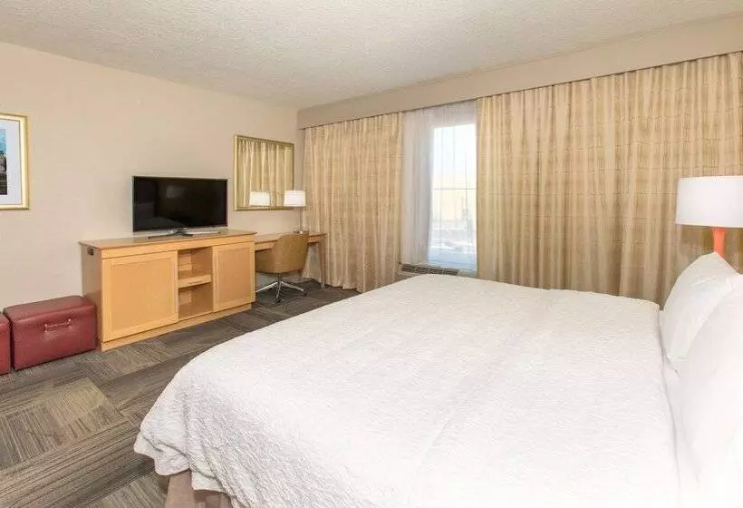 身障者適用ダブルベッド付きスタンダードルーム, Hampton Inn Palatka