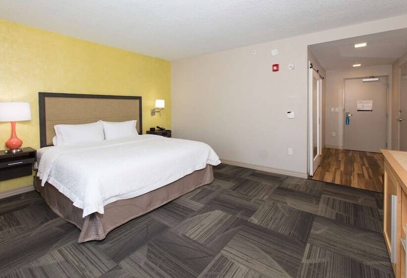 장애인을 위한 더블 침대 스탠다드 룸, Hampton Inn Palatka