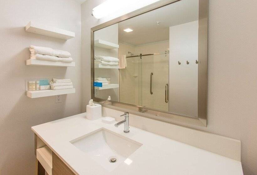 غرفه قياسيه سريرين مزدوجين, Hampton Inn Palatka