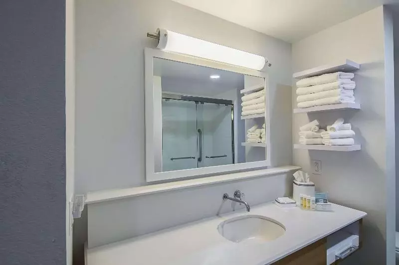 身障者適用スタンダードルーム, Hampton Inn & Suites Dallas/richardson