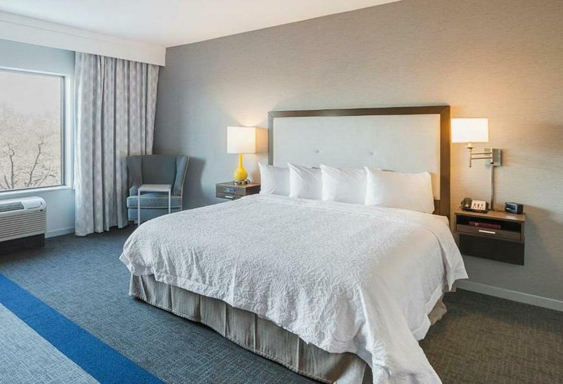 Люкс Кровать Кинг, Hampton Inn & Suites Dallas/richardson