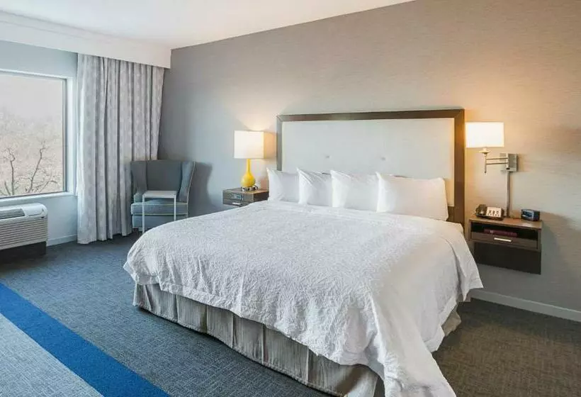 身障者適用キングサイズベッドルーム, Hampton Inn & Suites Dallas/richardson