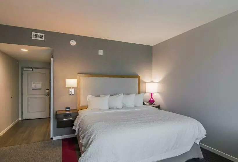 キングサイズベッドのスタンダードルーム, Hampton Inn & Suites Dallas/richardson