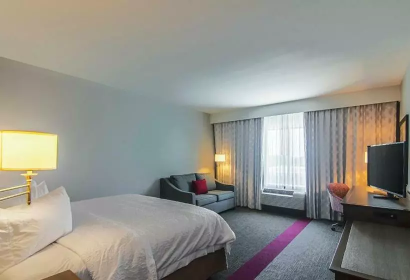 キングサイズベッドのスタンダードルーム, Hampton Inn & Suites Dallas/richardson
