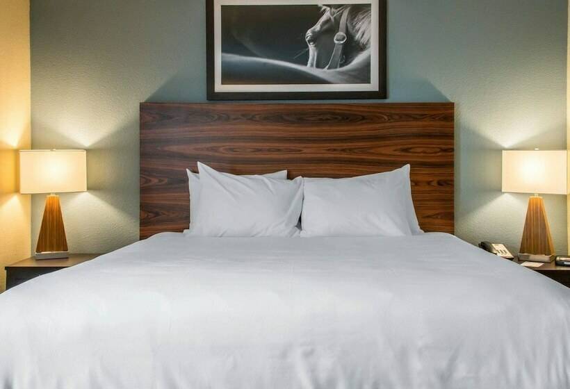 Süit, Mainstay Suites Cotulla