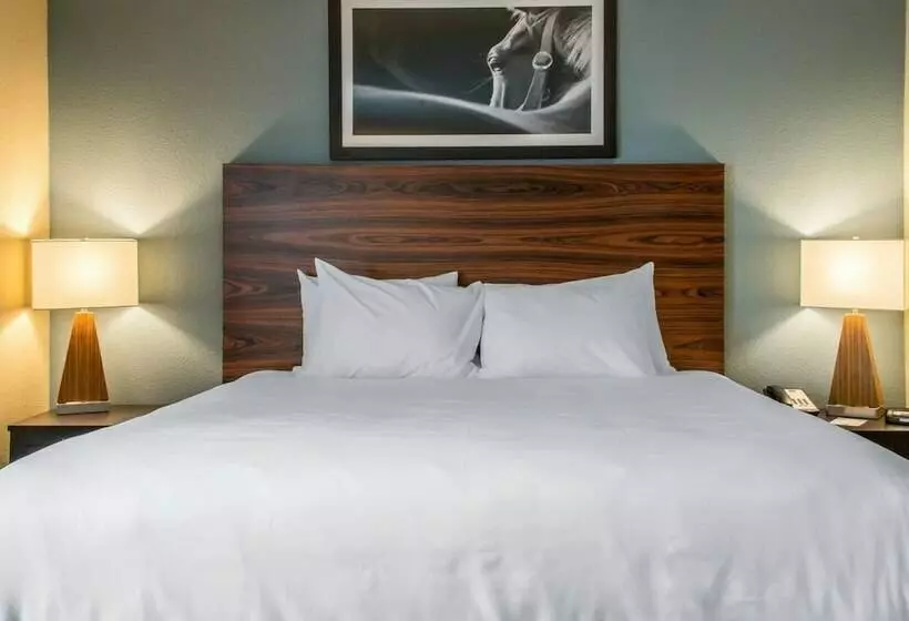 スイート, Mainstay Suites Cotulla