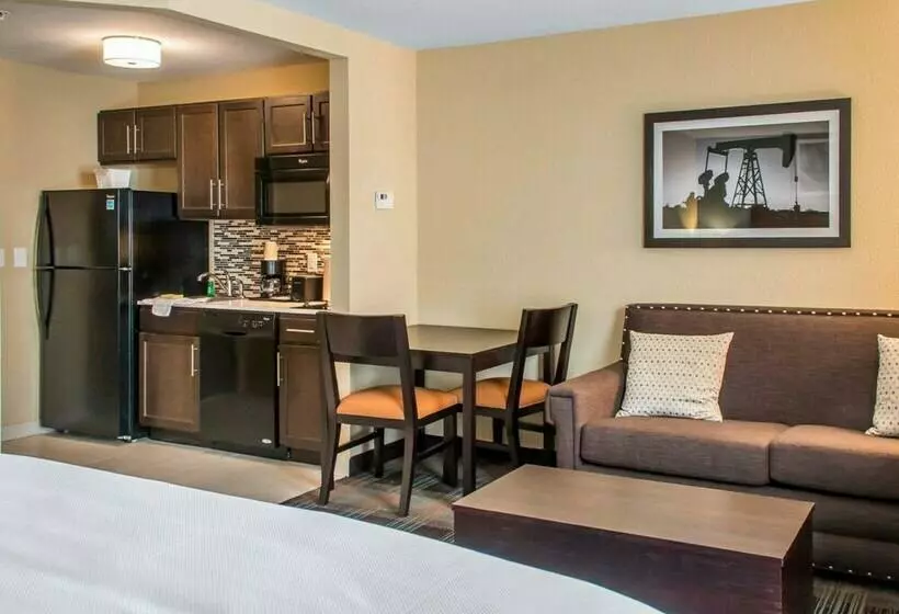 スイート, Mainstay Suites Cotulla