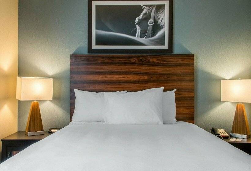 Süit, Mainstay Suites Cotulla