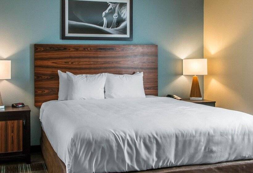 Süit, Mainstay Suites Cotulla