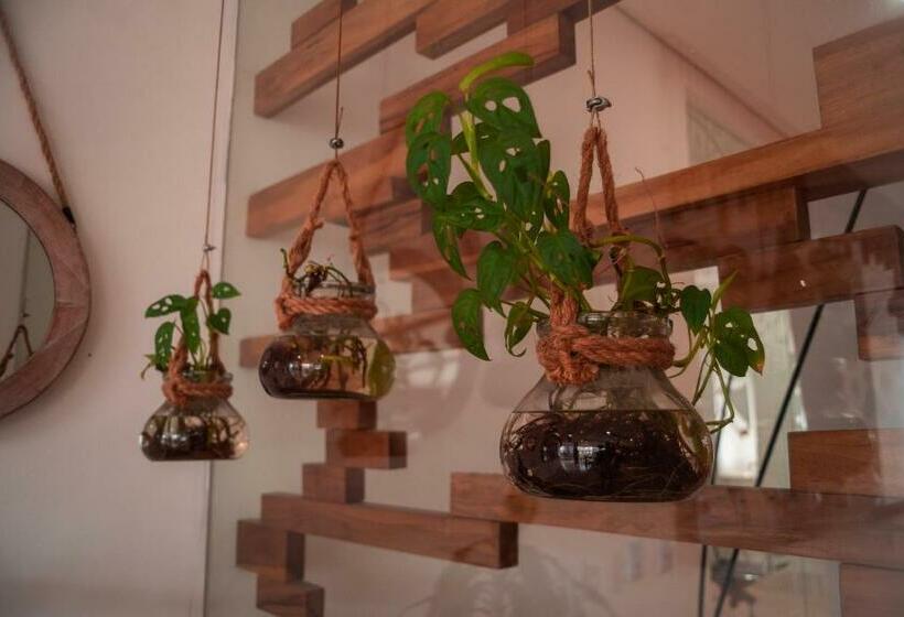 Номер Стандарт, Unión Plaza Moteria