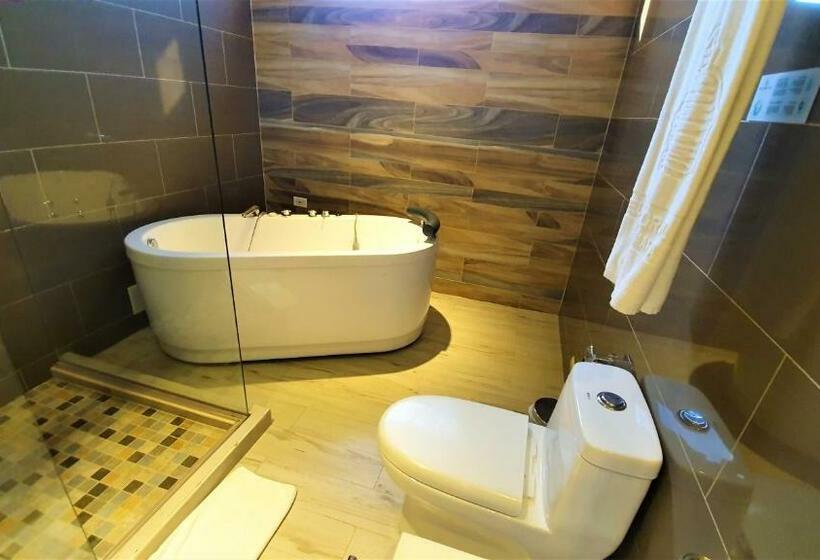 סוויטת ג'וניור, Catedral Plaza