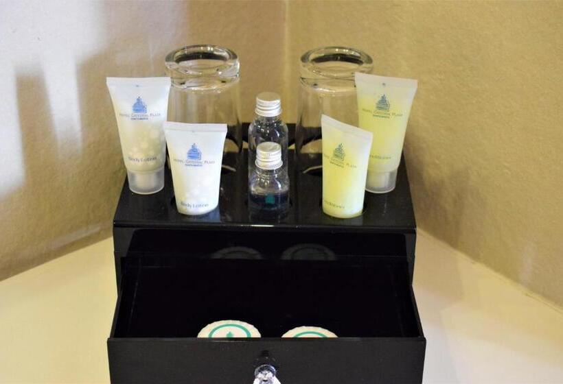 חדר דלוקס, Catedral Plaza