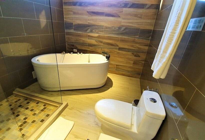 סוויטת ג'וניור, Catedral Plaza