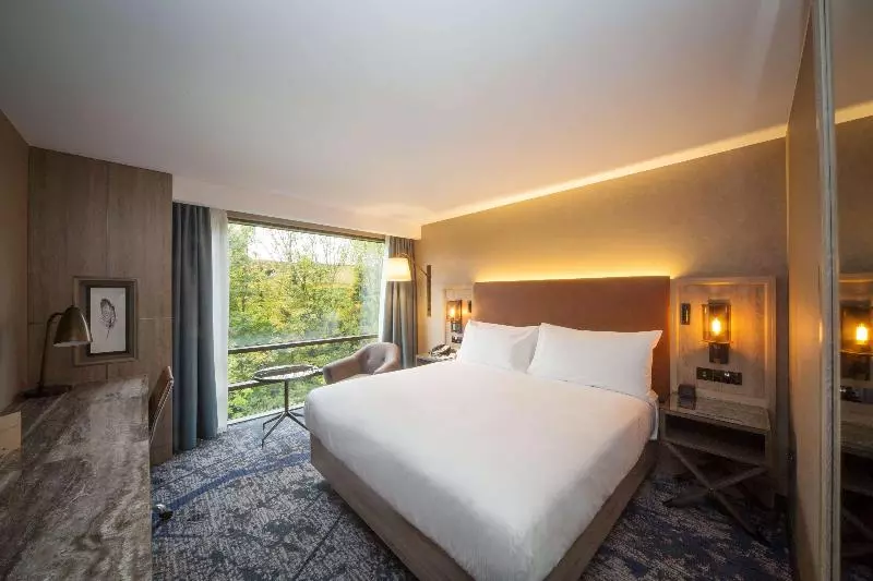 キングサイズベッドのスタンダードルーム, Doubletree By Hilton London Kingston Upon Thames