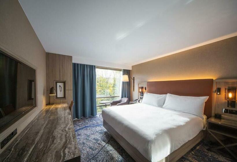 디럭스 룸 킹사이즈 침대, Doubletree By Hilton London Kingston Upon Thames