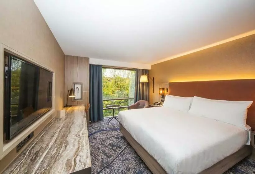 キングサイズベッドのスーペリアルーム, Doubletree By Hilton London Kingston Upon Thames