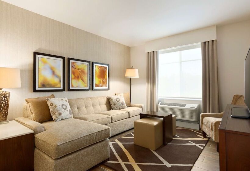 キングサイズベッドのスイートルーム, Homewood Suites By Hilton Augusta