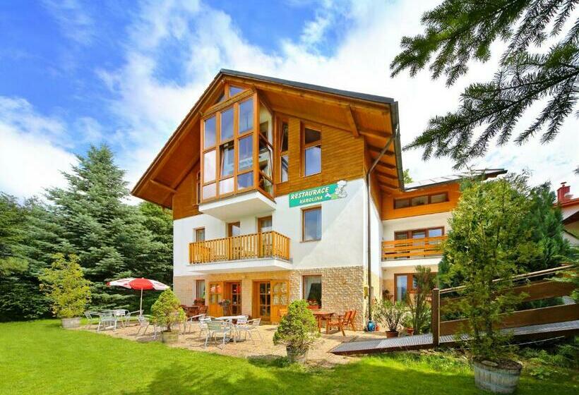 スタンダードスタジオ, Pension Karolína