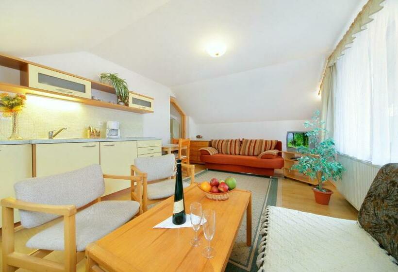 1ベッドルームアパートメント, Pension Karolína