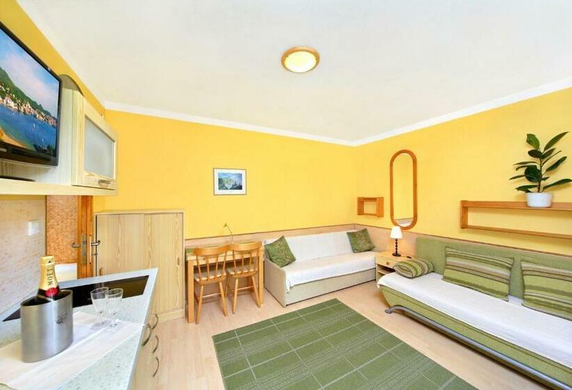 1ベッドルームアパートメント, Pension Karolína