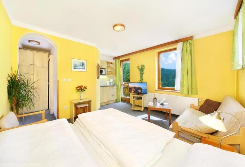 バルコニー付きスタンダードルーム, Pension Karolína