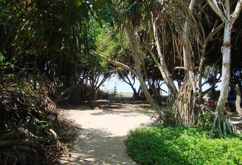 스탠다드 룸, White Villa