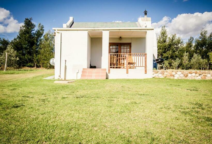 חדר סטודיו סטנדרד, Reflections Guest Farm