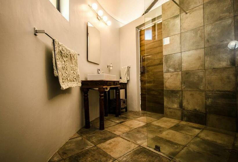 סטודיו דלוקס, Reflections Guest Farm