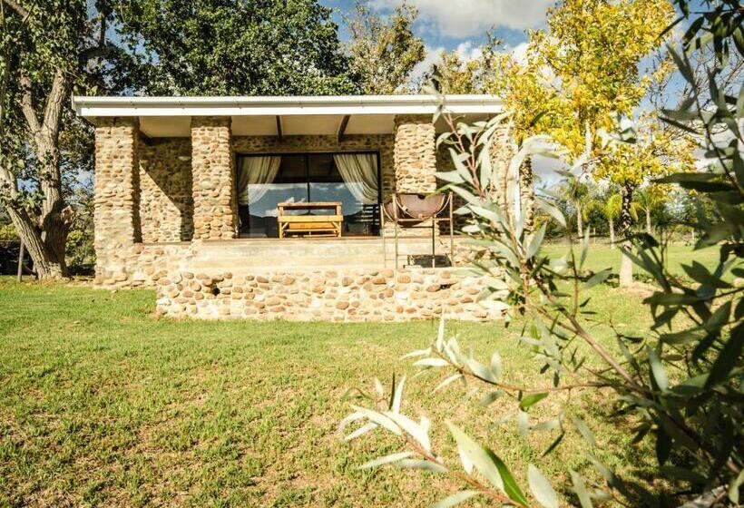 Номер Deluxe, Reflections Guest Farm
