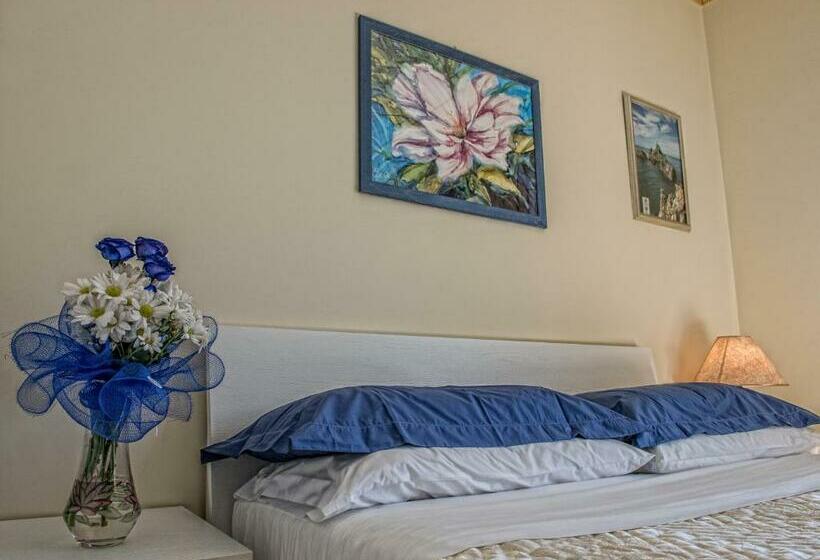 اتاق لوکس با بالکن, Airport House B&b