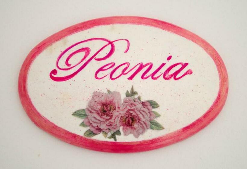 סוויטה משפחתית, B&b Corte Dell' Immacolata