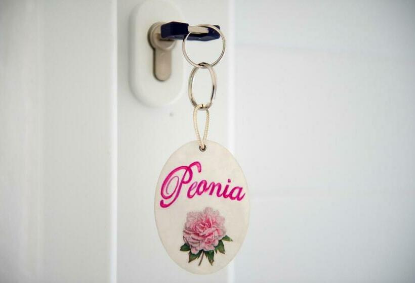 סוויטה משפחתית, B&b Corte Dell' Immacolata