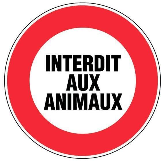 غرفة قياسية ثلاثية حمام مشترك, Hébergement Artense