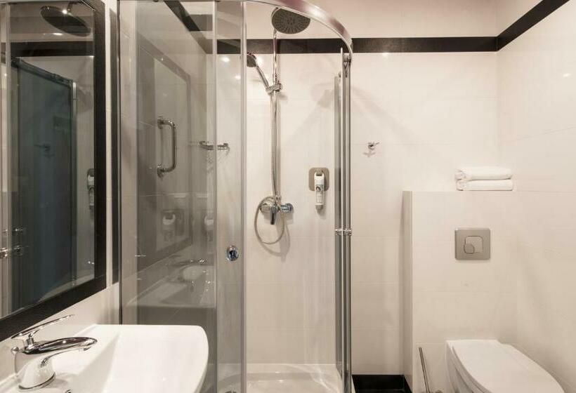 اتاق استاندارد یک نفره, Ibis Styles Gniezno Stare Miasto