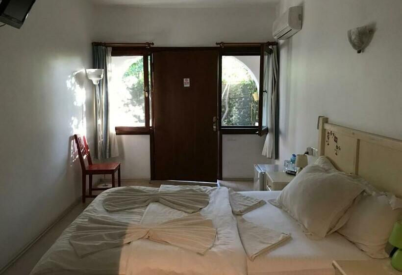 Quarto Estandar, Kano